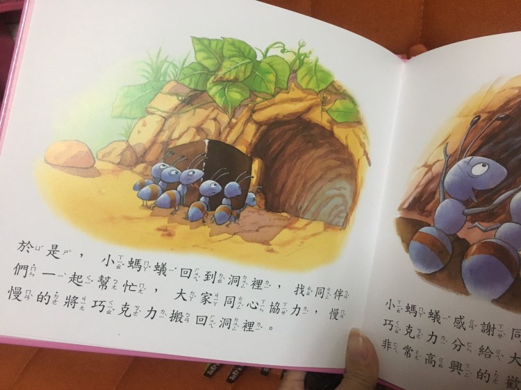 20190211_190213_0029