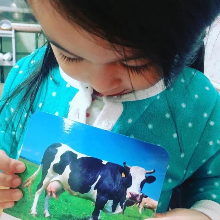 56764437_2220429704877783_4474890609970118656_n