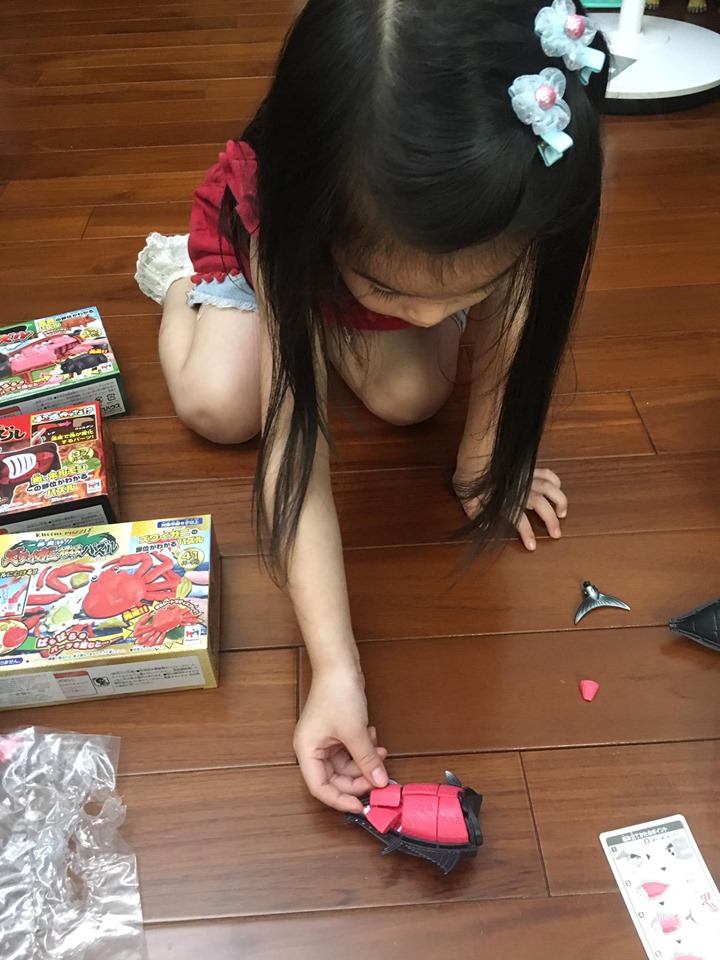 60821590_2254093098178110_6838317736074936320_n