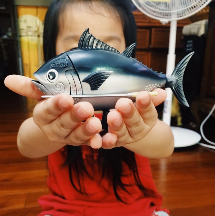 60945916_2252625138324906_6529559357573562368_n